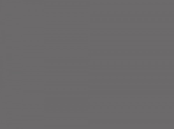 Линолеум BIGFOOT 4.3/0.6 SMOKY GREY